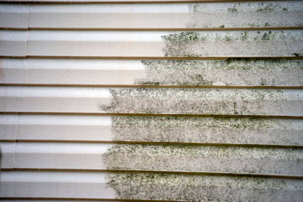 Best Storm Damage Siding Repair  in Matawan, NJ