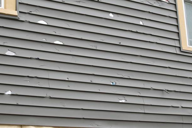 Best Siding Painting and Refinishing  in Matawan, NJ